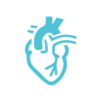 cardiology